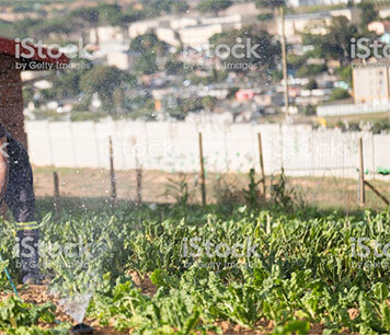 istock